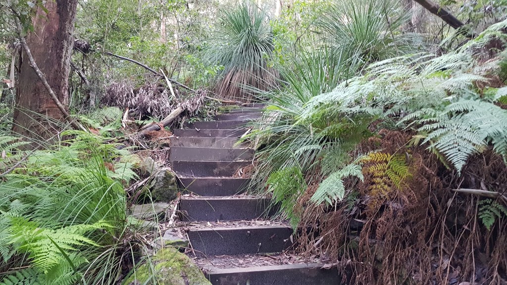 Sheldon Forest Walking Track | park | Pymble NSW 2073, Australia | 0294240000 OR +61 2 9424 0000