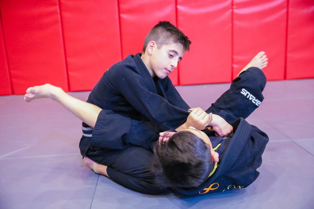 Art of Learning Jiu Jitsu |  | 5 Bandalong Cres, Bangor NSW 2234, Australia | 0431744259 OR +61 431 744 259