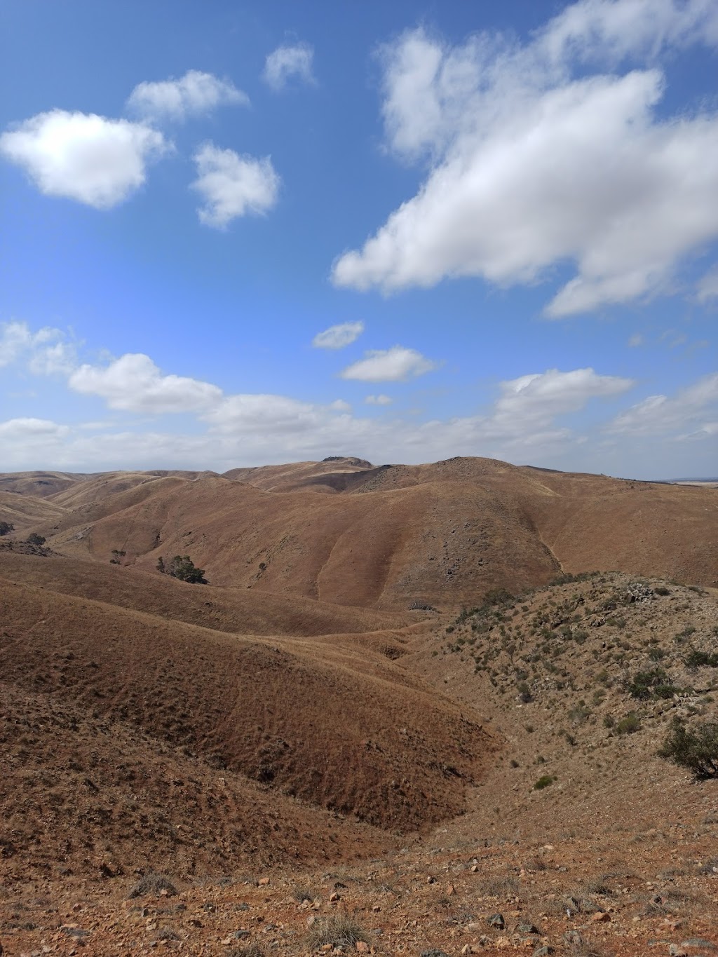 Lavender Federation Trail - Sanderston Trailhead | Three Chain Rd, Sanderston SA 5237, Australia