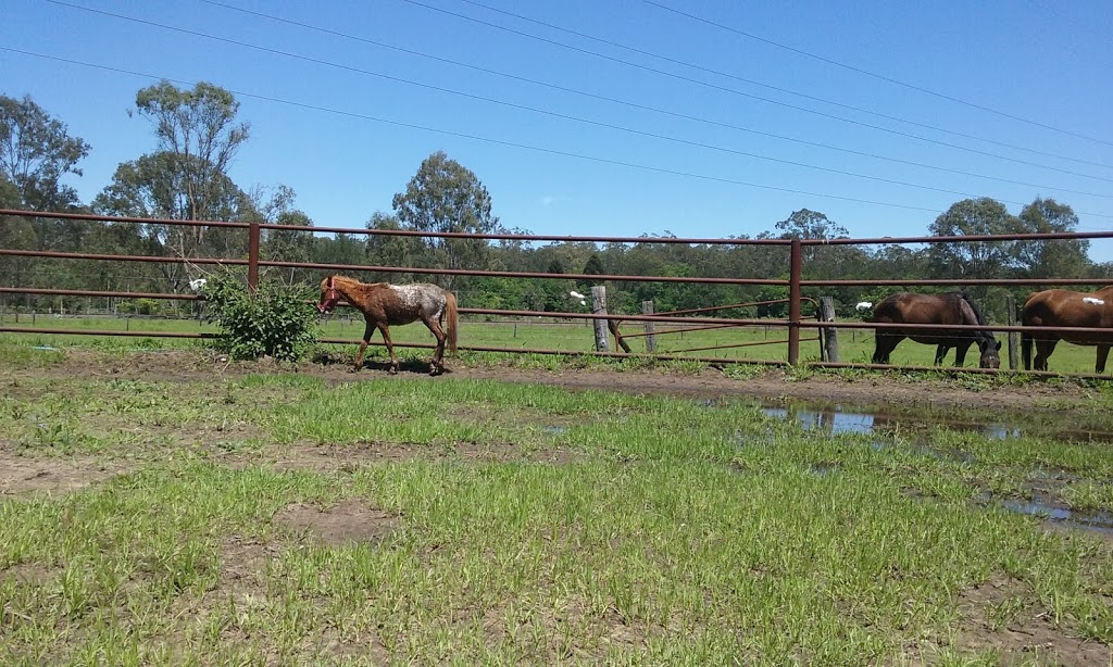 Queensland Pioneer Steam Railway | Patrick St, Swanbank QLD 4306, Australia | Phone: (07) 3103 0871