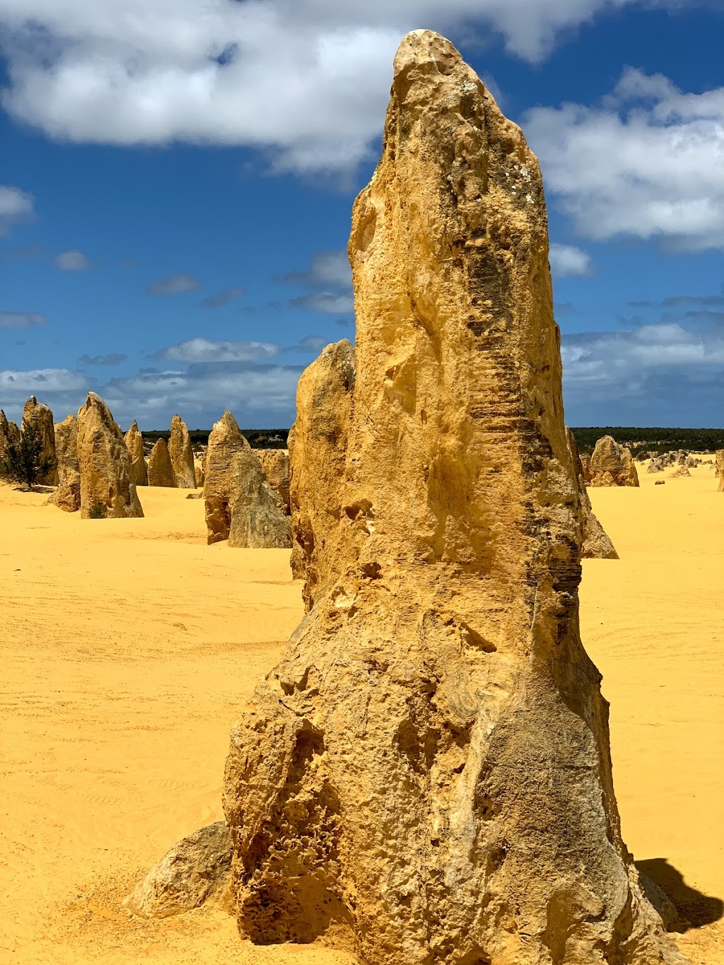 Nambung National Park | park | Nambung WA 6521, Australia | 0896527913 OR +61 8 9652 7913