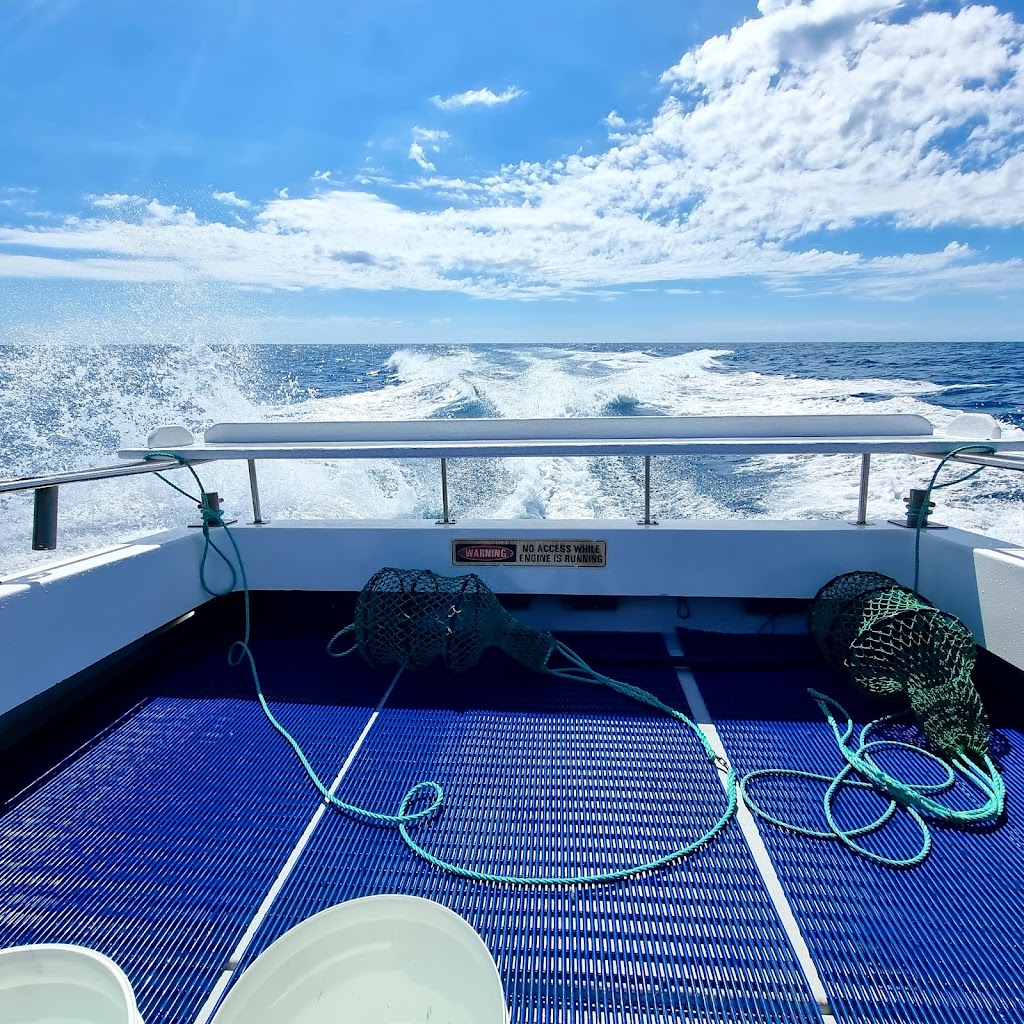 Balgowan Fishing Charters | Balgowan Rd, Balgowan SA 5573, Australia | Phone: 0414 336 277