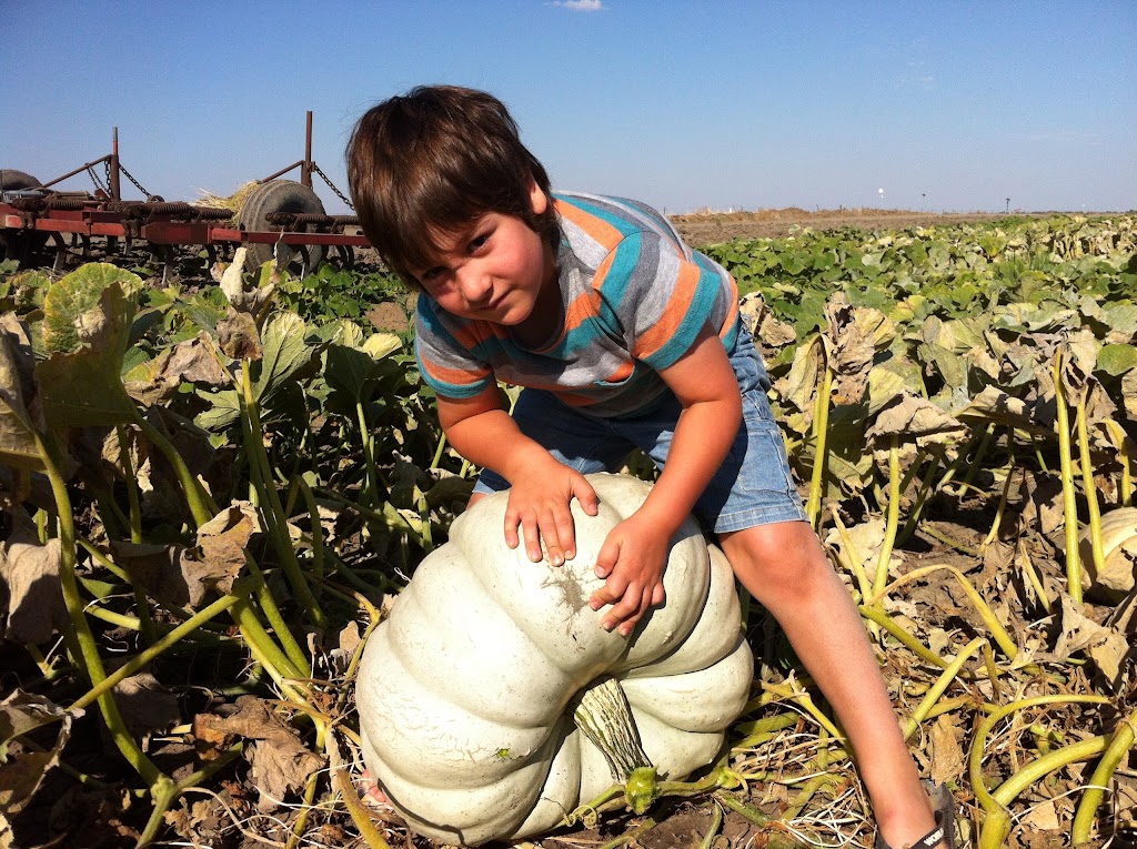 Ruberto Vegetable Farms | Sturt Hwy, Hay NSW 2711, Australia | Phone: (02) 6993 3211