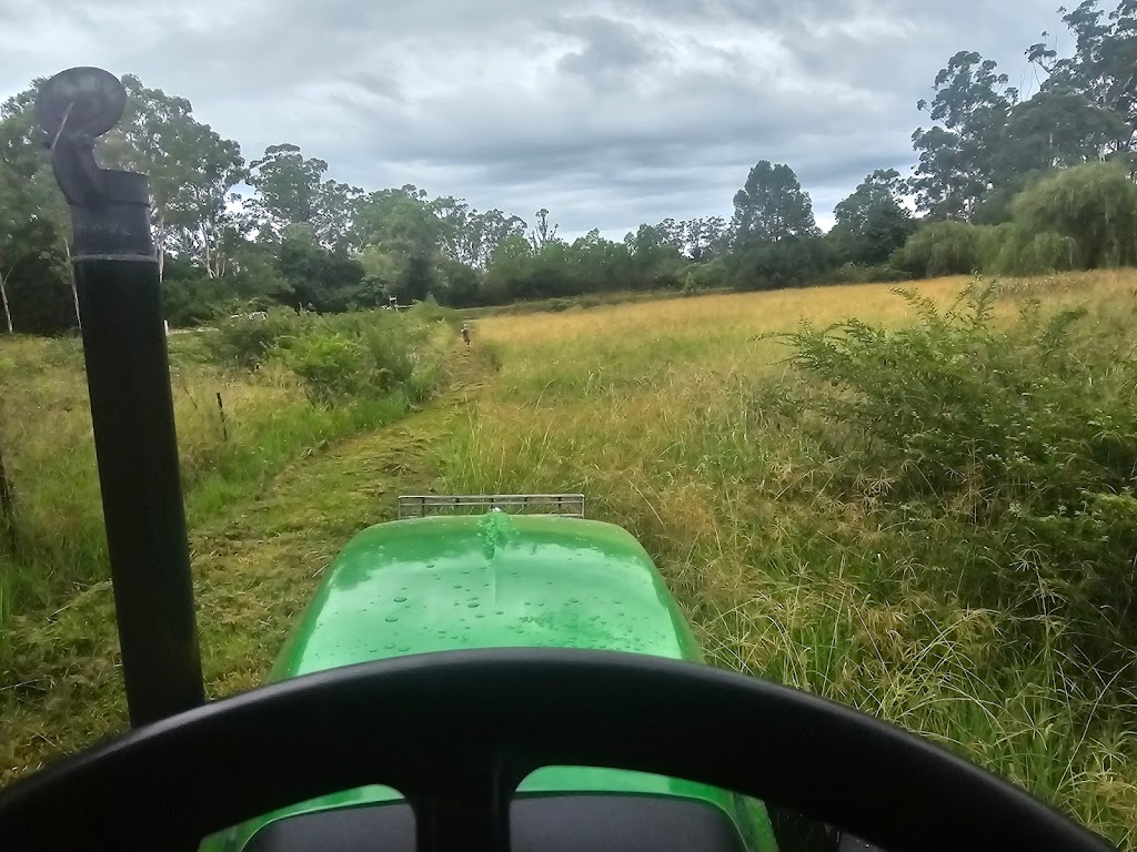 Atkinson Slashing | 12 Little St, Wingham NSW 2429, Australia | Phone: 0493 597 629