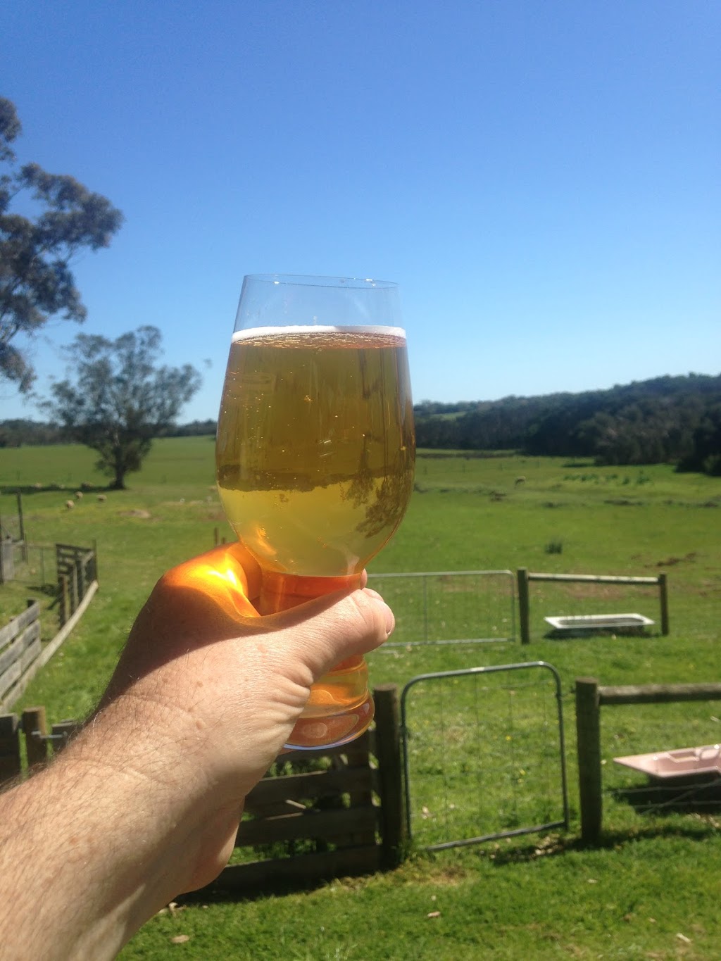 Green Gully Brewing | 79 Coghlan Rd, Cowes VIC 3922, Australia | Phone: 0429 832 304