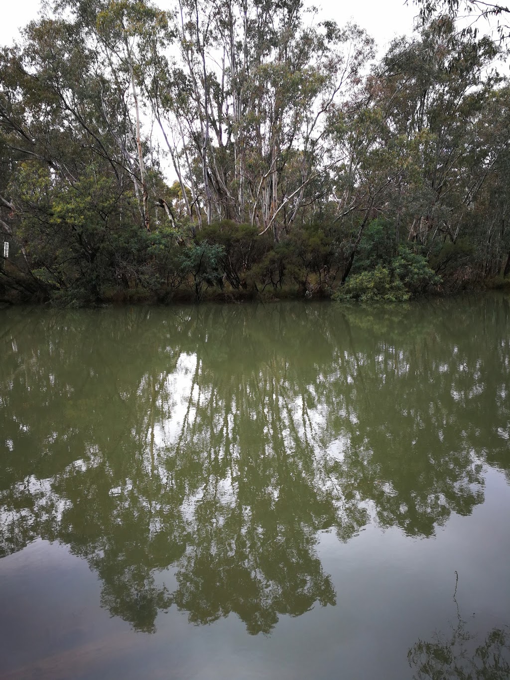 Major creek reserve camp spot | Major Creek, Mitchellstown VIC 3608, Australia
