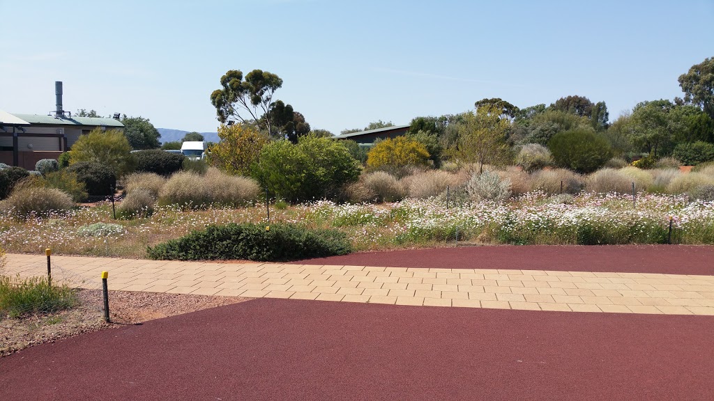 Australian Arid Lands Botanic Garden Visitor Centre and Cafe | 144 Stuart Hwy, Port Augusta West SA 5700, Australia | Phone: (08) 8641 9116