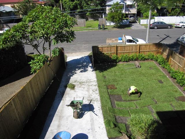 All Turf Solutions | 2125 Beaudesert Beenleigh Rd, Tamborine QLD 4270, Australia | Phone: (07) 5543 8304