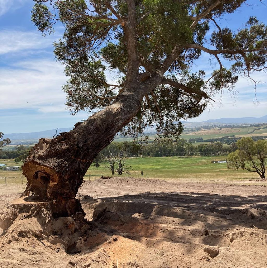 High Country Tree Services |  | 2205 Beechworth-Wodonga Rd, Leneva VIC 3691, Australia | 0438751932 OR +61 438 751 932