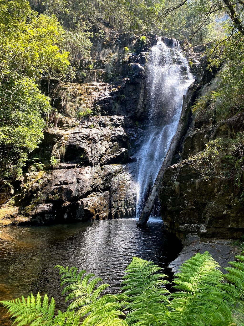Mathinna Falls | park | Mathinna Falls Track, Mathinna TAS 7214, Australia