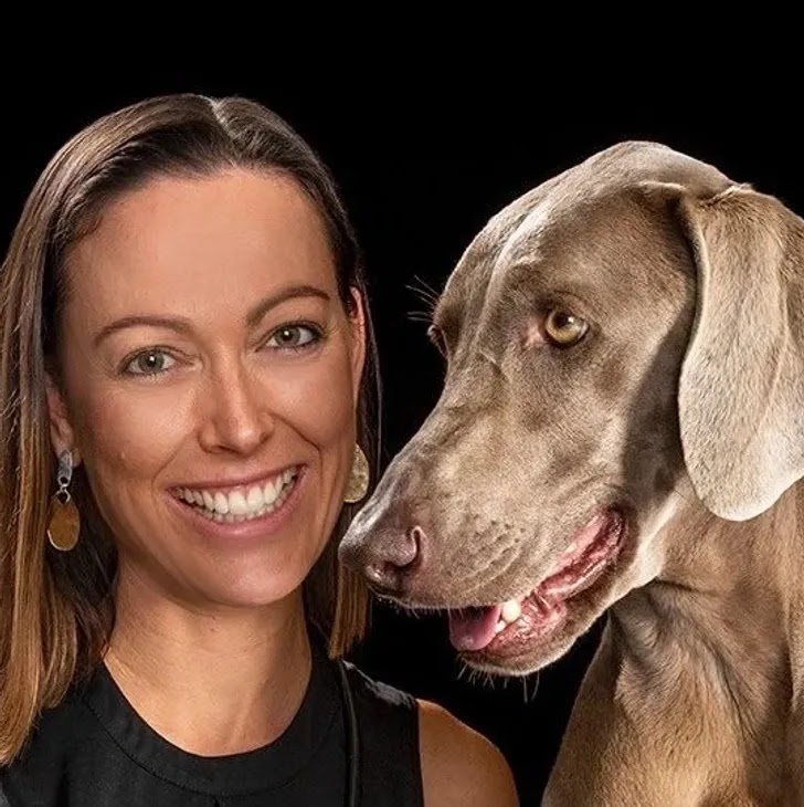 Dog Training By Zen | 550 Brookfield Rd, Brookfield QLD 4069, Australia | Phone: 0419 279 109