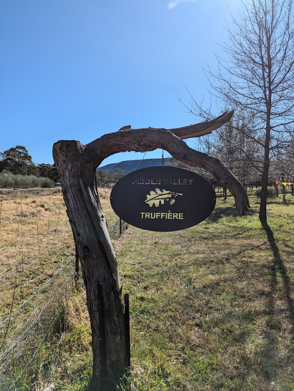 Hidden Valley Farms | 117 Mills Rd, Carrick NSW 2580, Australia | Phone: 0408 111 122