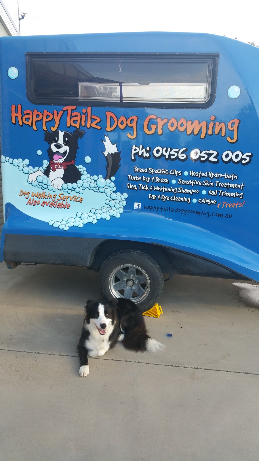 Happy Tailz Dog Grooming | 71 Sturt St, Howlong NSW 2643, Australia | Phone: 0456 052 005