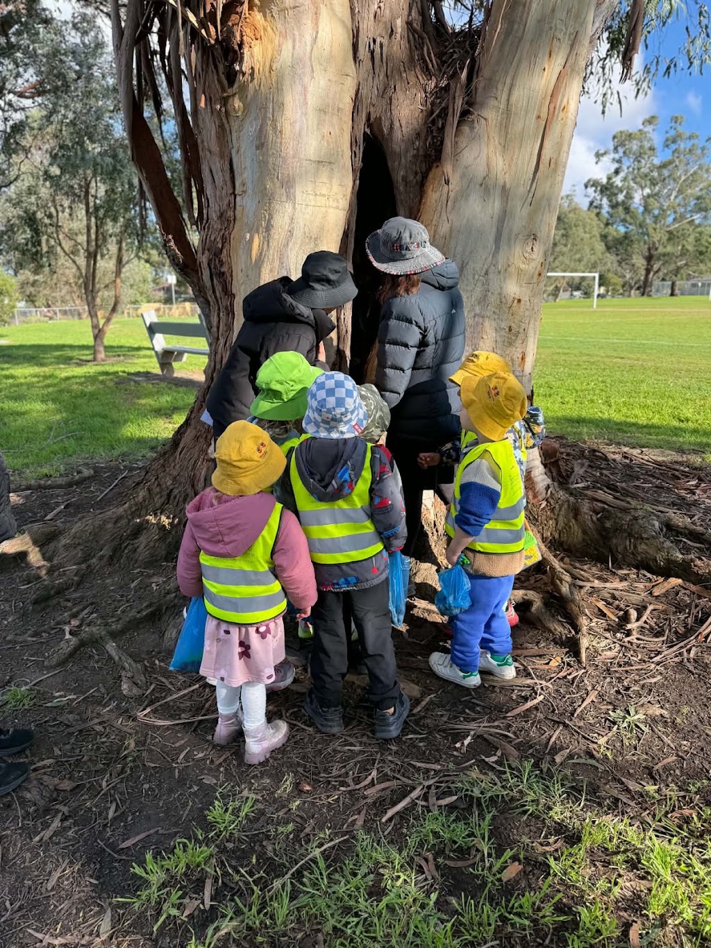 Birches Early Learning Centre Frankston South | 137 Overport Rd, Frankston South VIC 3199, Australia | Phone: (03) 8785 7888