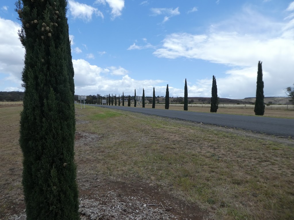 Rowsley Avenue of Honour | park | Glenmore Rd, Rowsley VIC 3340, Australia