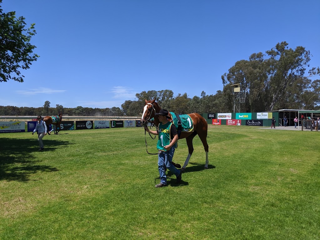 Benalla Pony Club | 5809 Midland Hwy, Benalla VIC 3672, Australia | Phone: 0427 352 752