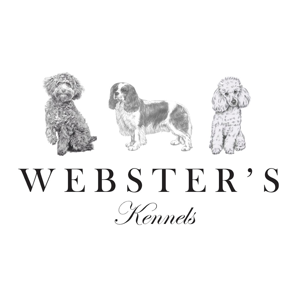 Websters Kennels | Nyngan NSW 2825, Australia | Phone: 0488 197 262