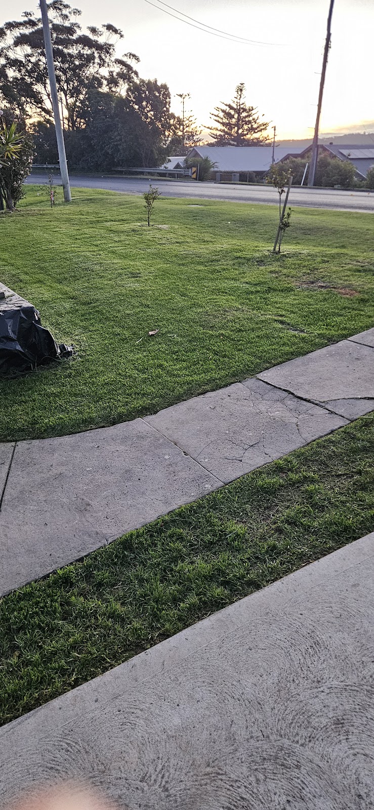 Total Lawn & Property Care | 221 Princes Hwy, Narooma NSW 2546, Australia | Phone: 0407 702 662