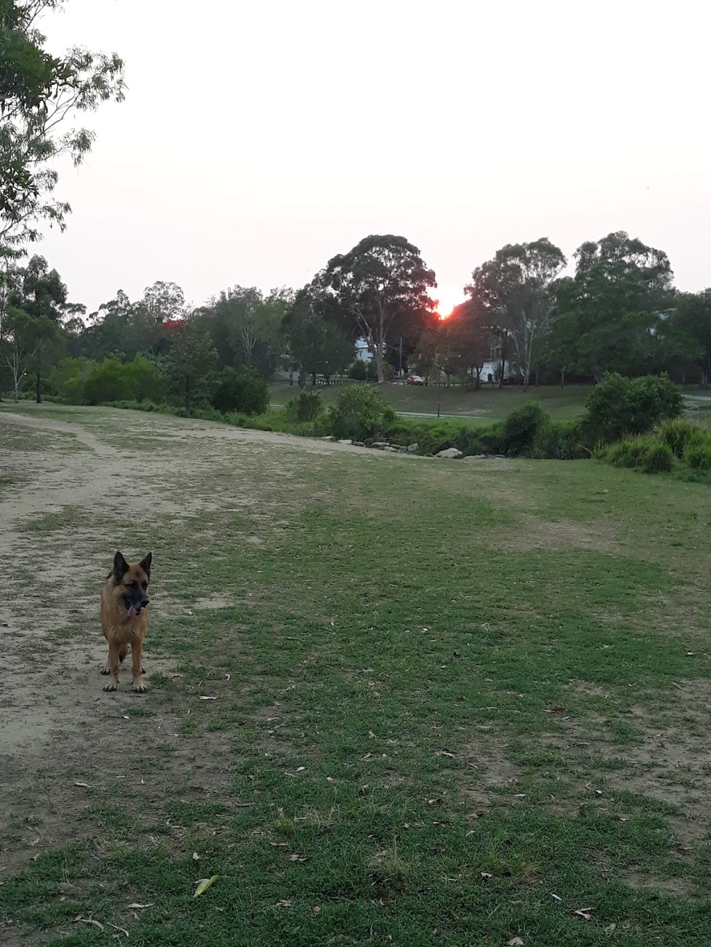 Kokoda Park | Gordon Park QLD 4031, Australia | Phone: (07) 3403 8888