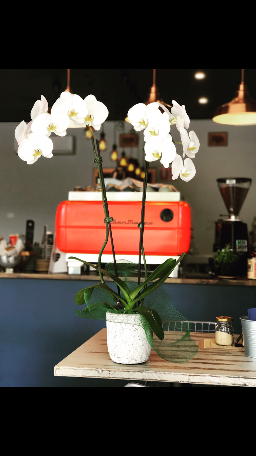 How Brewed | cafe | 108 Coonong Rd, Gymea Bay NSW 2227, Australia | 0285217449 OR +61 2 8521 7449