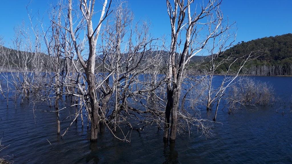 Eastern Boat Ramp |  | Range Rd, Advancetown QLD 4211, Australia | 0413797620 OR +61 413 797 620