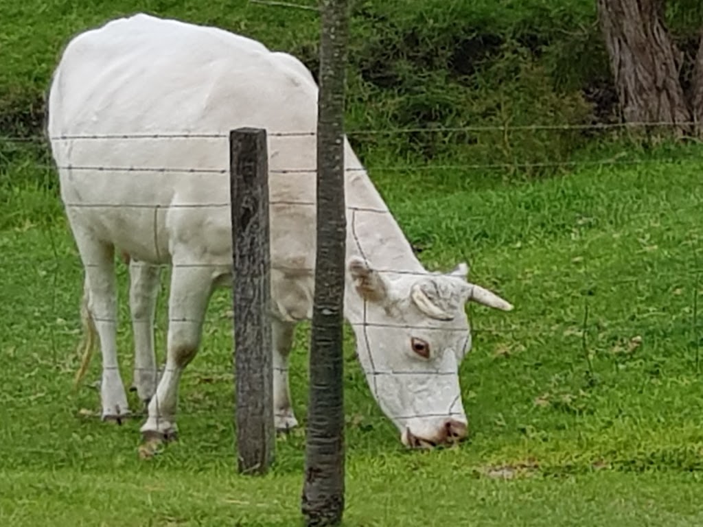 Park Farm Holiday Retreat | lodging | 278 Robinson Rd, Robinson WA 6330, Australia | 0408418662 OR +61 408 418 662