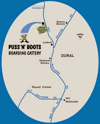 Puss n Boots Boarding Cattery | 664 Old Northern Rd, Dural NSW 2158, Australia | Phone: (02) 9651 1401