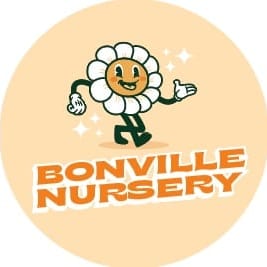 Bonville Nursery | store | 325 Pine Creek Way, Bonville NSW 2450, Australia | 0403292661 OR +61 403 292 661