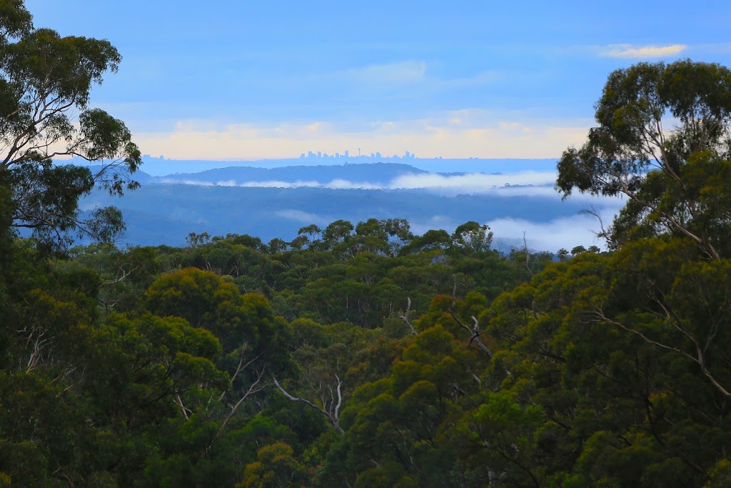 First Light Photography | 2909 Bells Line of Rd, Bilpin NSW 2758, Australia | Phone: 0414 999 508