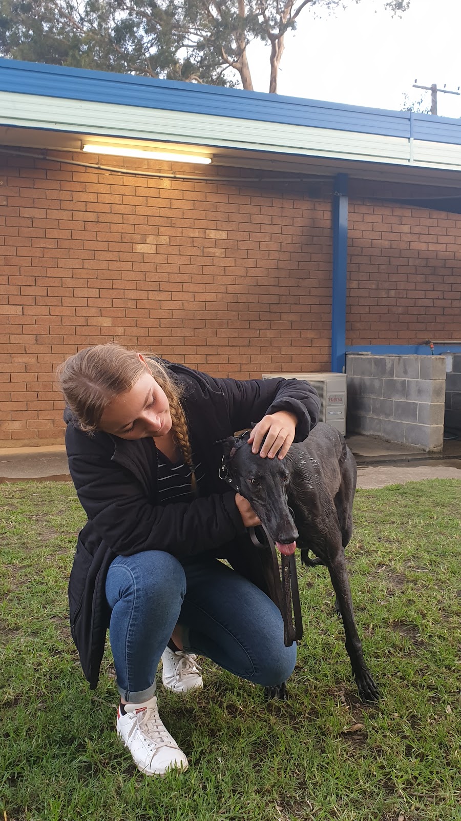 Shoalhaven Greyhound Racing Club | Shoalhaven Racing Complex Albatross Road Nowra NSW Australia 2541, Albatross Rd, South Nowra NSW 2541, Australia | Phone: (02) 4421 2332