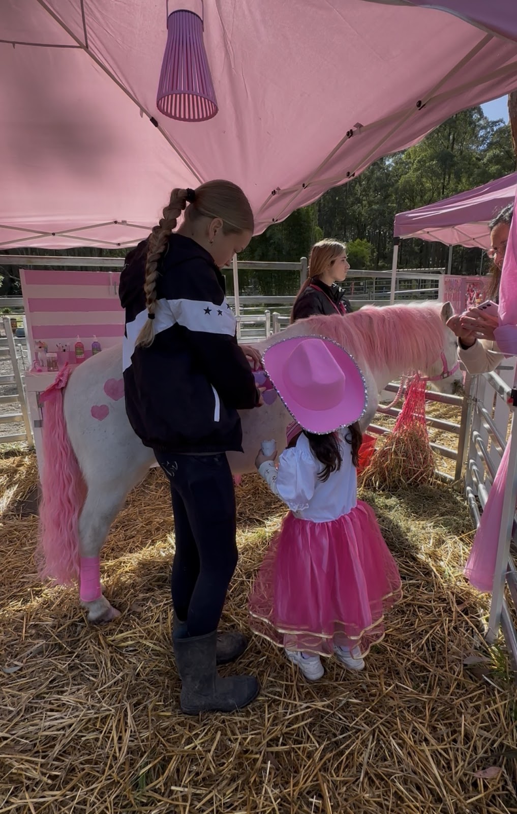 Symphony’ Secret Pony Garden | Toepfers Rd, Wyee NSW 2259, Australia | Phone: 0414 494 930
