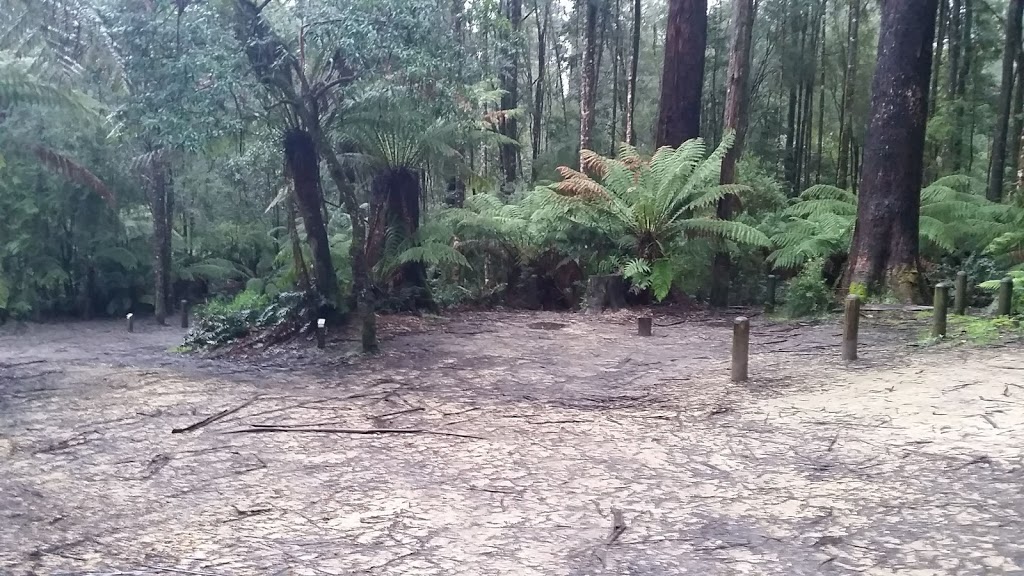 Aire Crossing campsite | campground | Air River Crossing Track Great Otway National Park, Johanna VIC 3238, Australia