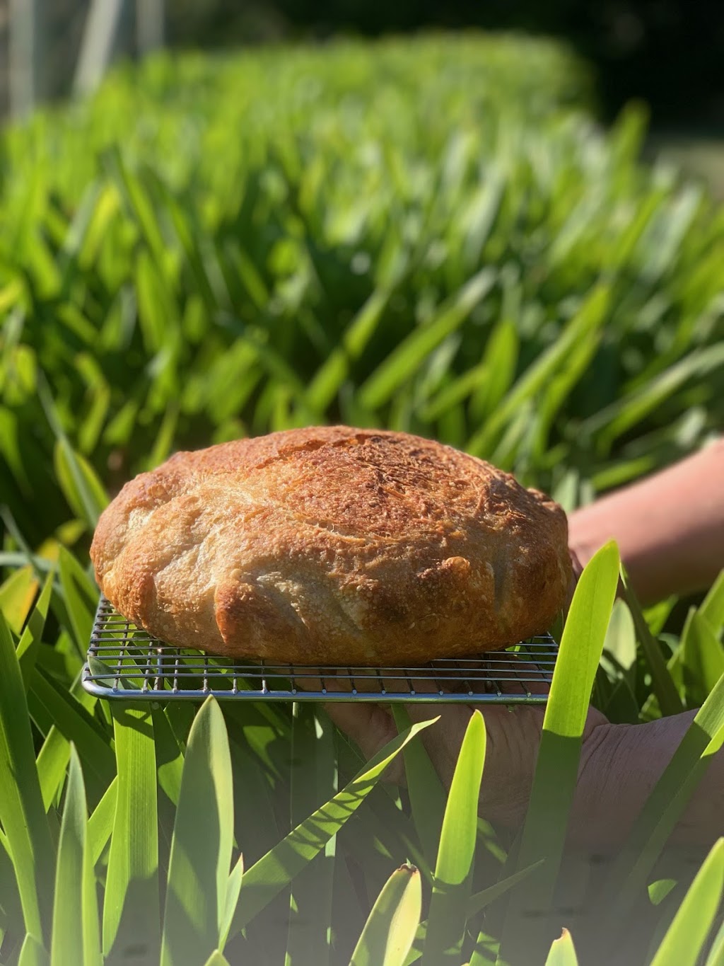 J&Bs Home Grown Produce | 20 Salmon Ponds Rd, Plenty TAS 7140, Australia | Phone: 0473 118 206