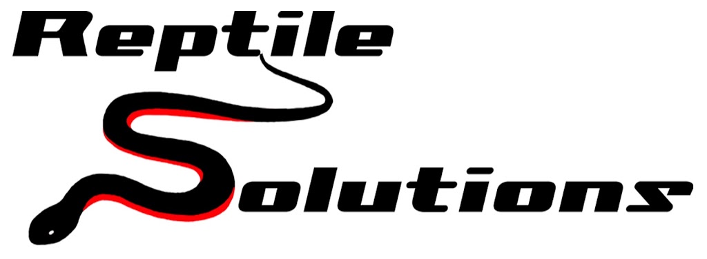 Reptile Solutions | Charles St, Wauchope NSW 2446, Australia | Phone: 0450 430 480