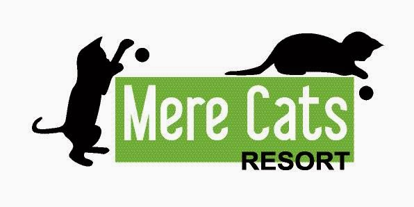 Merecats Resort | veterinary care | 265 Clunes-Creswick Rd, Clunes VIC 3370, Australia | 0353454004 OR +61 3 5345 4004