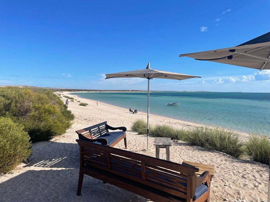 Island Life Adventures | Denham Commercial Jetty, Denham WA 6537, Australia | Phone: (08) 9948 1211
