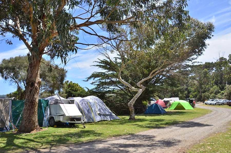 Apollo Recreation Reserve & Camping Ground | 70 Great Ocean Rd, Apollo Bay VIC 3233, Australia | Phone: (03) 5237 6577
