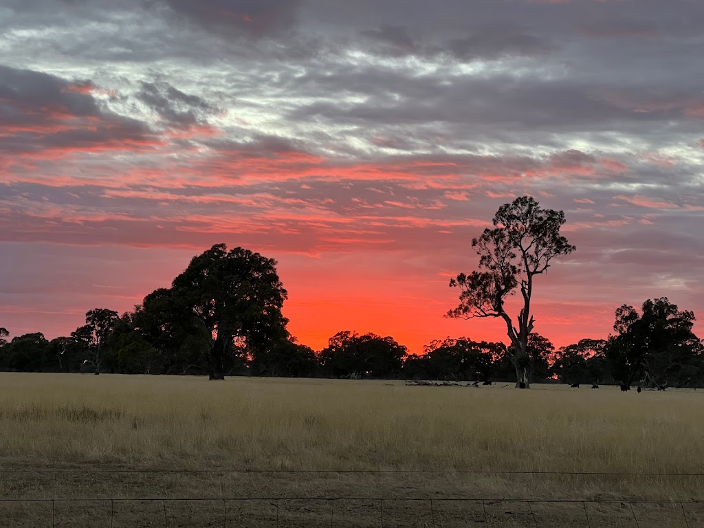 Grampians Park Station | lodging | 126 Mint Rd, Moyston VIC 3377, Australia | 0455235715 OR +61 455 235 715