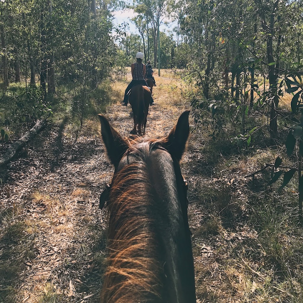 Nash Horse Trekking | 90 Willaura Dr, Coominya QLD 4311, Australia | Phone: 0413 248 898