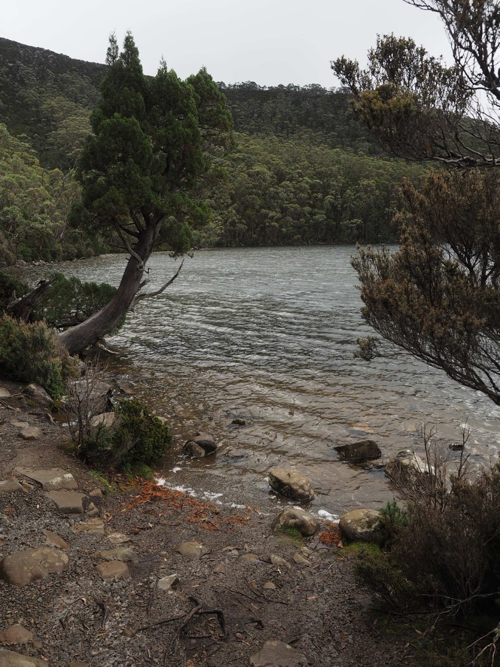 Lake Dobson | Lake Dobson, Mount Field TAS 7140, Australia