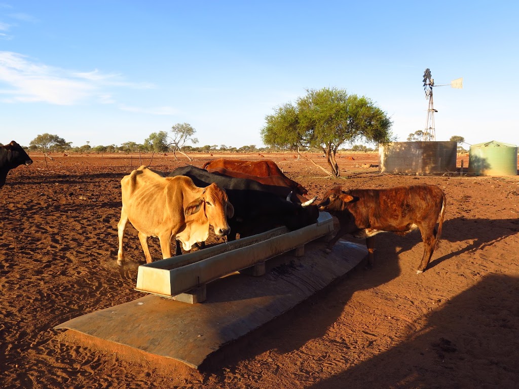 4 Corners windmill | Murchison WA 6630, Australia | Phone: 0467 709 389
