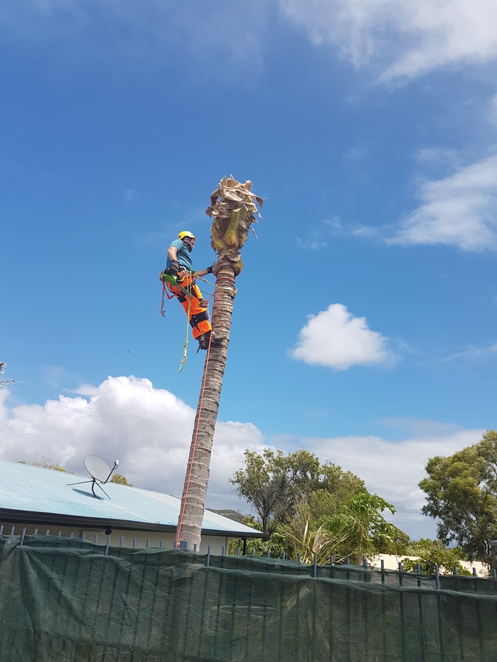 Canopy Tree Trimming | 77 Rangewood Dr, Rangewood QLD 4817, Australia | Phone: 0429 300 212
