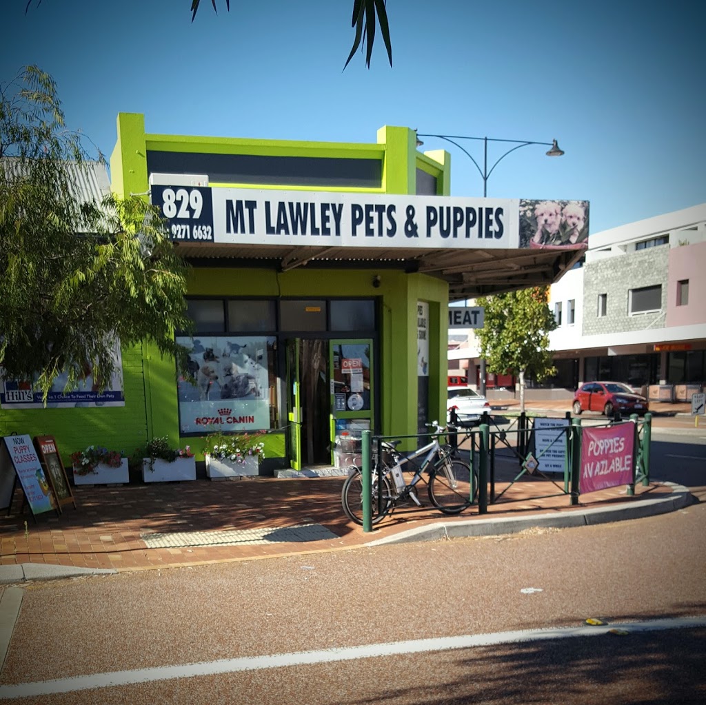 Mt Lawley Pets & Puppies | 829 Beaufort St, Inglewood WA 6052, Australia | Phone: (08) 9271 6632