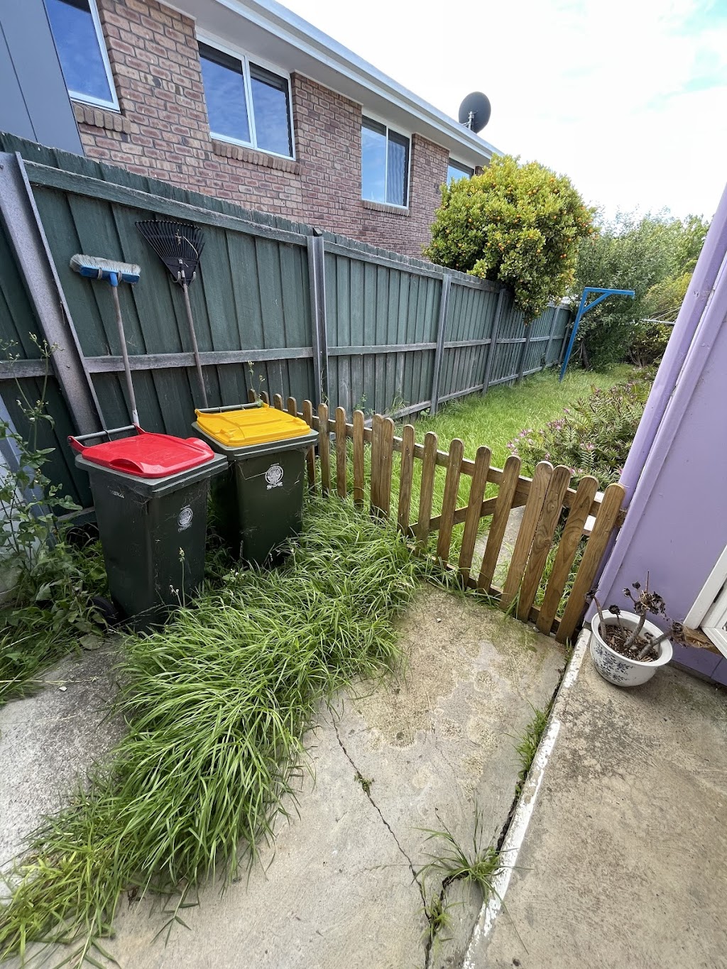 Trim, Cut & Mow | 9 Charlton St, Snug TAS 7054, Australia | Phone: 0402 352 836