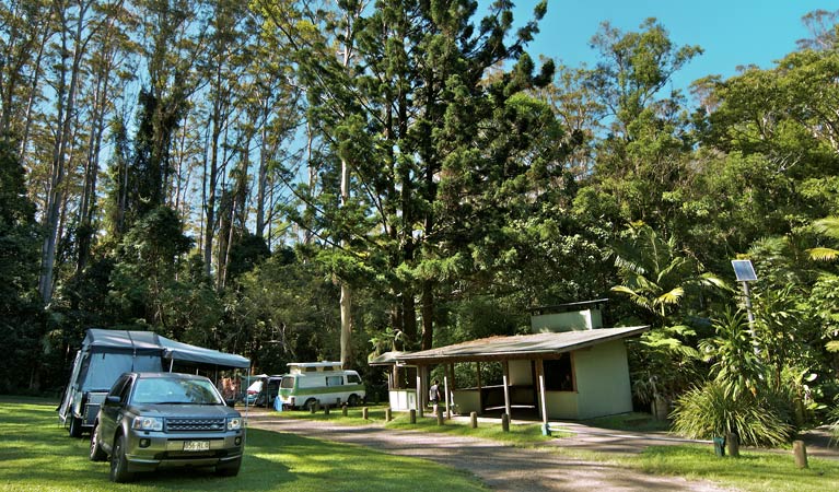 Rummery Park campground | campground | Peates Mountain Rd, Whian Whian NSW 2480, Australia | 1300072757 OR +61 1300 072 757