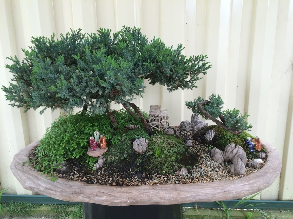 Penjing Bonsai | general contractor | 4 Piedmont Cl, Endeavour Hills VIC 3802, Australia | 0470528160 OR +61 470 528 160