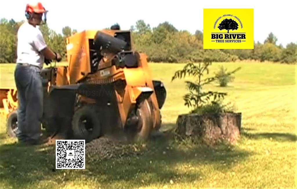 Big River Tree Services |  | 97 West St, Woombah NSW 2469, Australia | 0407438138 OR +61 407 438 138