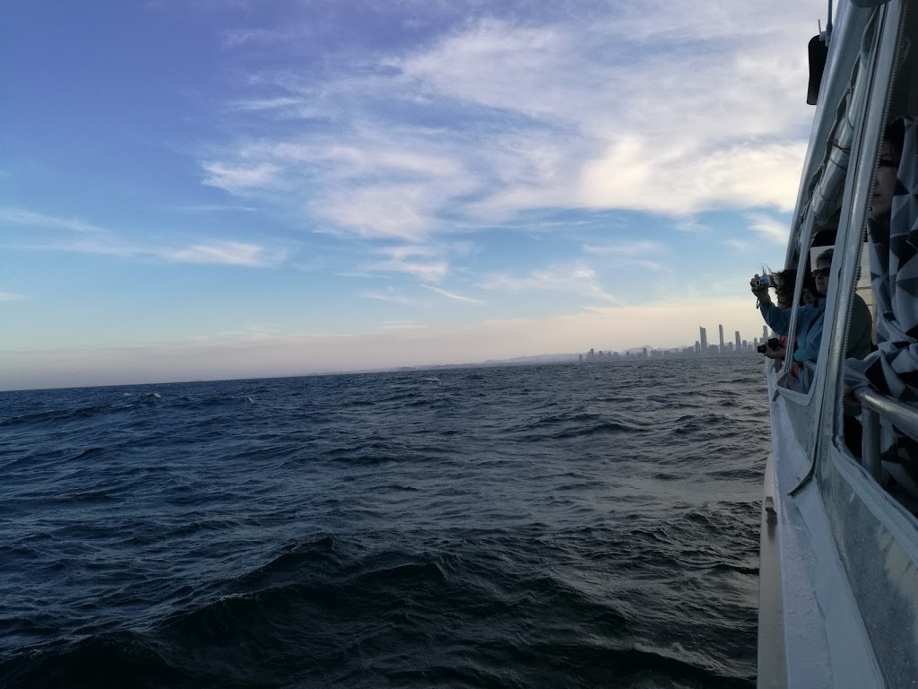 Whale Watching Gold Coast Getaway Sailing | travel agency | 247 Bayview St, Runaway Bay QLD 4216, Australia | 0438453769 OR +61 438 453 769