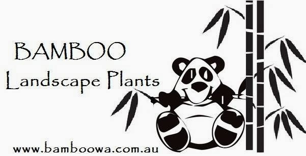 Bamboo Landscape Plants | store | 108 Wattleup Rd, Wattleup WA 6166, Australia | 0894101453 OR +61 8 9410 1453