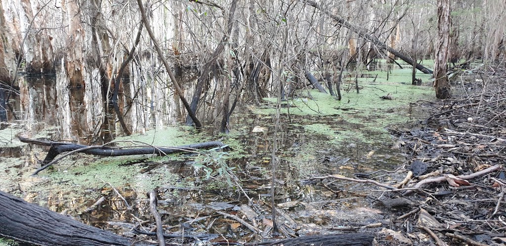 Habitat Springs | Coventina Cres, Springfield Lakes QLD 4300, Australia